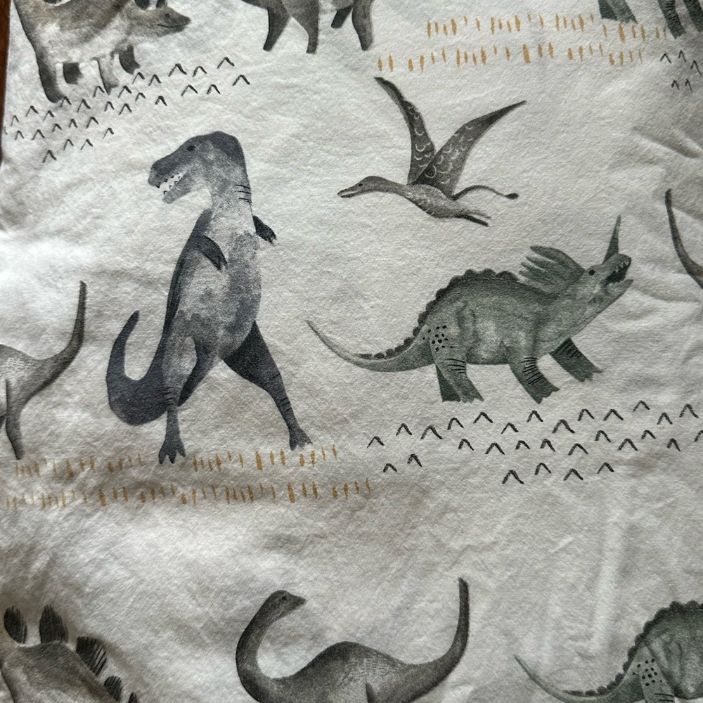 Pottery Barn Kids twin Dinosaur sheet set